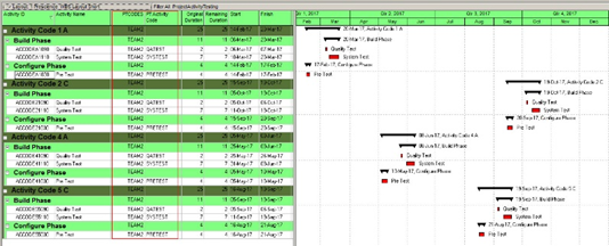 Oracle Primavera Tips & Tricks